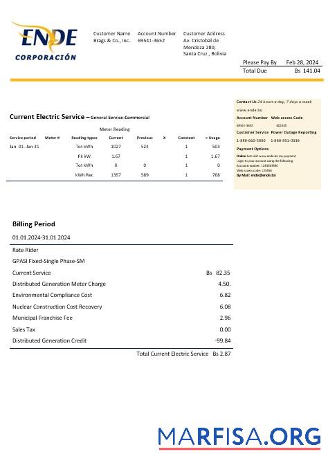 Printable Bolivia ENDE Corporacion electricity business utility bill template in Word and PDF format